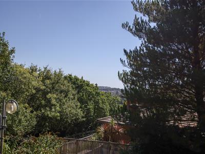 Picture 30